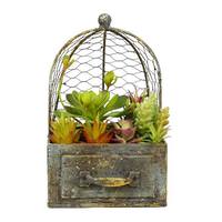 Vickerman 10" Artificial Assorted Succulents in Rustic Metal Container and Cage