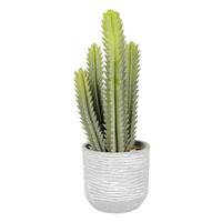 Vickerman 39" Artificial Green Cactus in Concrete Pot