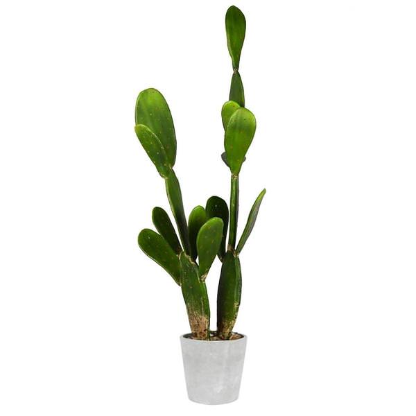 29" Artificial Green Cactus in Concrete Pot