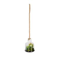 Vickerman 10" Artificial Assorted Succulents in Glass Jar