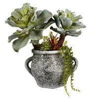 Vickerman Artificial Assorted Succulents in Concrete Pot