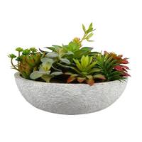 Vickerman 12" Artificial Assorted Succulents in Concrete Pot