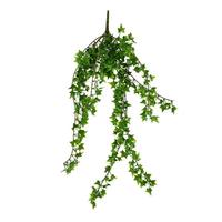 Vickerman 27.5" Artificial Green Ivy Hanging Bush (3 pack)