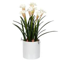 Vickerman 16.5" Artificial White Daffodil With Ceramic Pot
