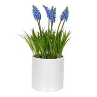 Vickerman 13.5" Artificial Purple Hyacinth With Ceramic Pot