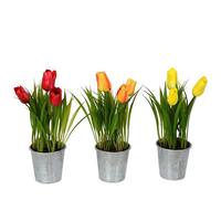 Vickerman 9.5" Artificial Assorted Tulips With Metal Pots (set of 3)
