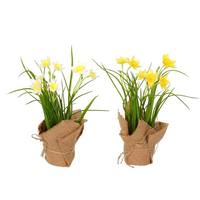 Vickerman 10" Artificial Yellow Daffodils With Burlap Pots (2 pack)