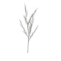 Vickerman 50" Artificial Green Mountain Prunus Spray (3 pack)