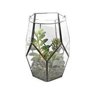 Vickerman 10" Artificial Assorted Succulents in Glass Terrarium