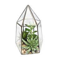 Vickerman 11" Artificial Assorted Succulents in Glass Terrarium
