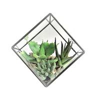 Vickerman 5.5" Artificial Assorted Succulents in Diamond Terrarium