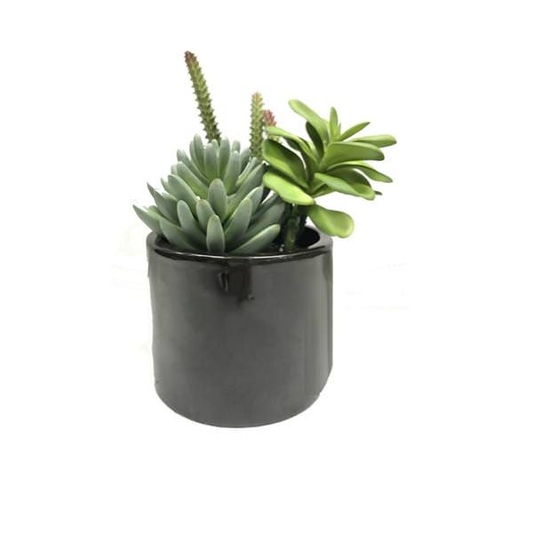 8" Artificial Assorted Succulents in Cement Pot