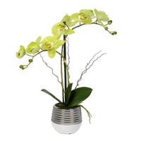 Vickerman 19.5" Artificial Green Phalaenopsis With Metal Pot
