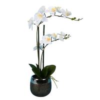 Vickerman 23" Artificial White Phalaenopsis With Metal Pot
