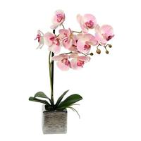 Vickerman 18" Artificial Pink Phalaenopsis With Metal Pot
