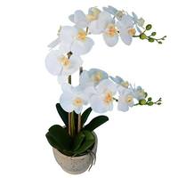 Vickerman 24" Artificial White Phalaenopsis With Cement Pot