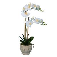 Vickerman 24.5" Artificial White Phalaenopsis With Cement Pot