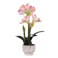 Vickerman 24" Artificial Pink Amaryllis With Cement Pot