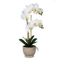 Vickerman 23" Artificial White Phalaenopsis With Ceramic Pot
