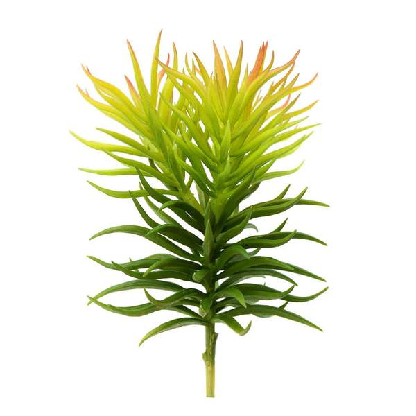 8" Artificial Green Crassula Tetragona Pick (3 pack)