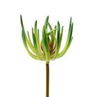 View 6.75" Artificial Green Jade Pick (3 pack)
