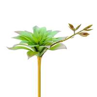 Vickerman Artificial Green Agave Pick (3 pack)
