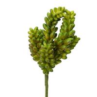 Vickerman 7" Artificial Green Donkey Tail Pick (3 pack)