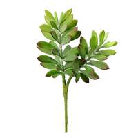 View 10" Artificial Green Crassula Tetragona Pick (3 pack)