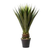 Vickerman 40" Artificial Green Potted Succulent in Black Pot