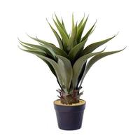 Vickerman 22" Artificial Green Potted Aloe Vera in Black Pot