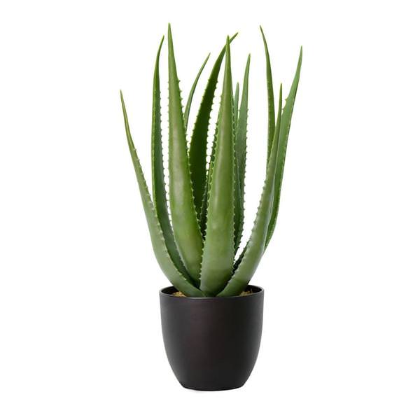 25" Artificial Green Potted Aloe Vera in Black Pot