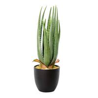 Vickerman 17.5" Artificial Green Aloe Vera in Black Pot