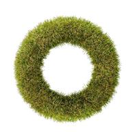 View 14" Artificial Green Grass Wreath