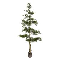 Vickerman 6' Artificial Cedar Tree in Planter Pot