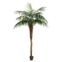 Vickerman 7' Artificial Phoenix Palm Tree