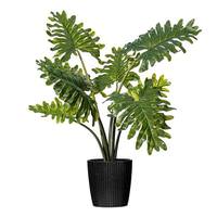 View 25" Artificial Potted Grand Philodendron Plant