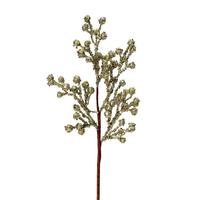 Vickerman 17" Champagne Glitter Berry Spray (6 pack)