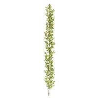 Vickerman 6' Artificial Lime Glitter Berry Garland