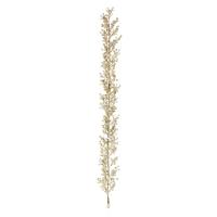 Vickerman 6' Artificial Champagne Glitter Berry Garland