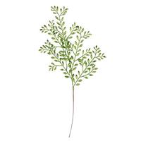 Vickerman 25" Lime Ruscus Glitter Jewel Spray (12 pack)