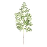 Vickerman 22" Lime Glitter Lace Holly Leaf Spray (12 pack)
