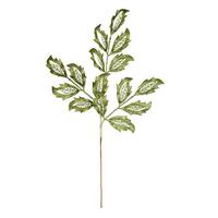 Vickerman 22" Green Matte Mistletoe Leaf Spray (12 pack)