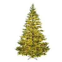 Vickerman 12' x 104" Artificial Takoma Frasier Fir 2000 Clear Miniature Lights