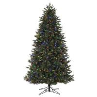 Vickerman 12' x 79" Artificial Boston Frasier Fir 2100 Multi-Color LED Lights
