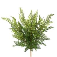 View 26" Artificial Green Fern Bush (2 pack)