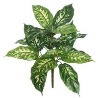 Vickerman 22" Artificial Dieffenbachia Plant (2 pack)