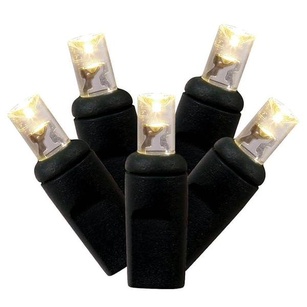 144 Light 24' Black Wire Warm White LED Cluster Set