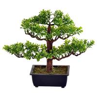 Vickerman 10" Potted Artificial Murraya Bonsai Tree