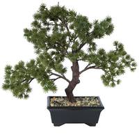 Unlit Bonsai Trees