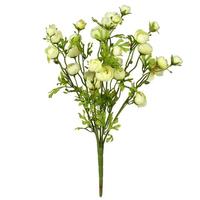Vickerman 18" Artificial Light Green Ranunculus Bush